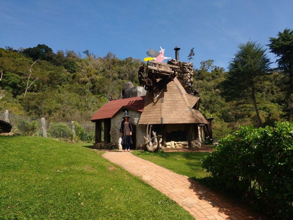 De qual casa vc é ? floresta encantada