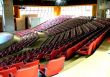 Palco Auditorio Claudio Santoro 2
